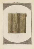 RS.18129 image RS.18129