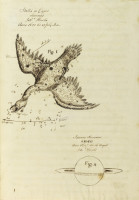 RS.14973 image RS.14973