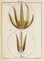 RS.18143 image RS.18143