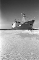 RS.12002 image RS.12002