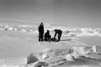 RS.12010 image RS.12010