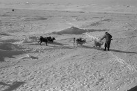 RS.12019 image RS.12019