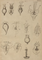 RS.21388 image RS.21388