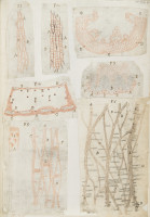 image RS.16201