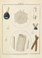 RS.18168 image RS.18168