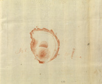 RS.9106 image RS.9106