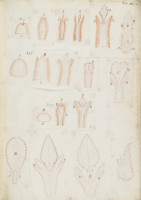 RS.16211 image RS.16211