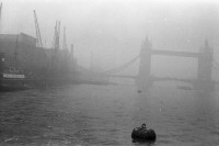 RS.12040 image RS.12040