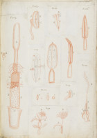 image RS.16231