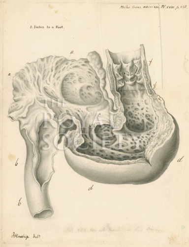 PT_73_4_15 image PT_73_4_15