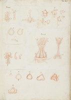 RS.16241 image RS.16241