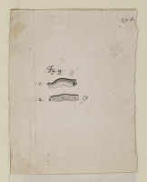 image RS.16419