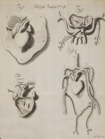 RS.18933 image RS.18933