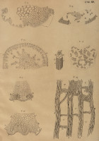 RS.21348 image RS.21348