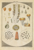 RS.18121 image RS.18121