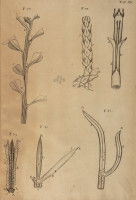 image RS.21359