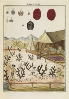 RS.18130 image RS.18130