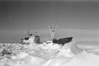 RS.12003 image RS.12003