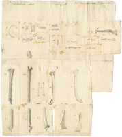 RS.8734 image RS.8734