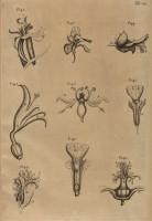 RS.21369 image RS.21369