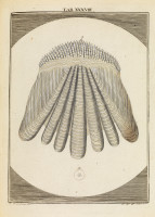 RS.18140 image RS.18140