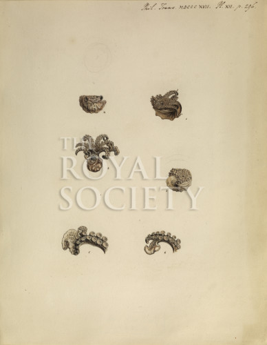 PT_73_6_14 image PT_73_6_14
