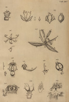 image RS.21379