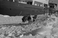 RS.12020 image RS.12020