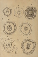 RS.21399 image RS.21399