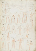 image RS.16212