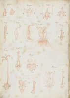 image RS.16232