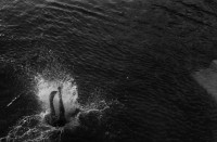 RS.12050 image RS.12050