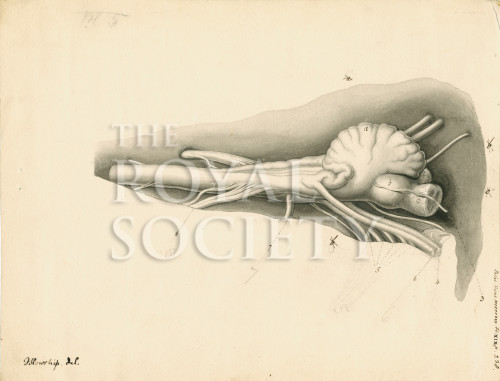 PT_73_4_16 image PT_73_4_16