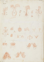 image RS.16242