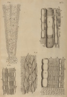 RS.21349 image RS.21349