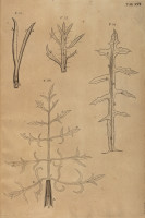 image RS.21360