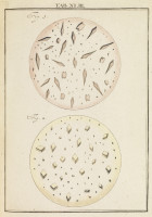 RS.18145 image RS.18145