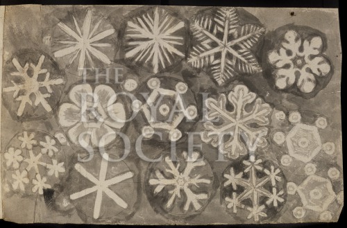 hooke r, im002207 a image hooke r, im002207 a