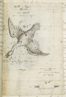 RS.14758 image RS.14758