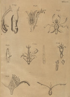 RS.21370 image RS.21370