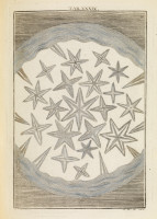 RS.18141 image RS.18141