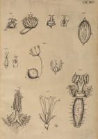 RS.21380 image RS.21380