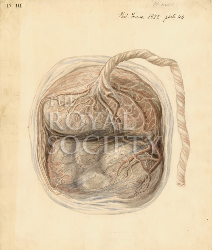 PT_73_9_47 image PT_73_9_47