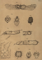 RS.21390 image RS.21390