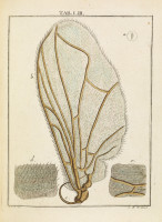 RS.18170 image RS.18170