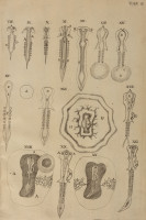 image RS.21400