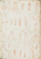 RS.16213 image RS.16213