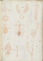 RS.16233 image RS.16233