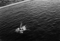 RS.12051 image RS.12051