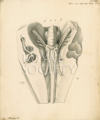 PT_73_4_17 image PT_73_4_17